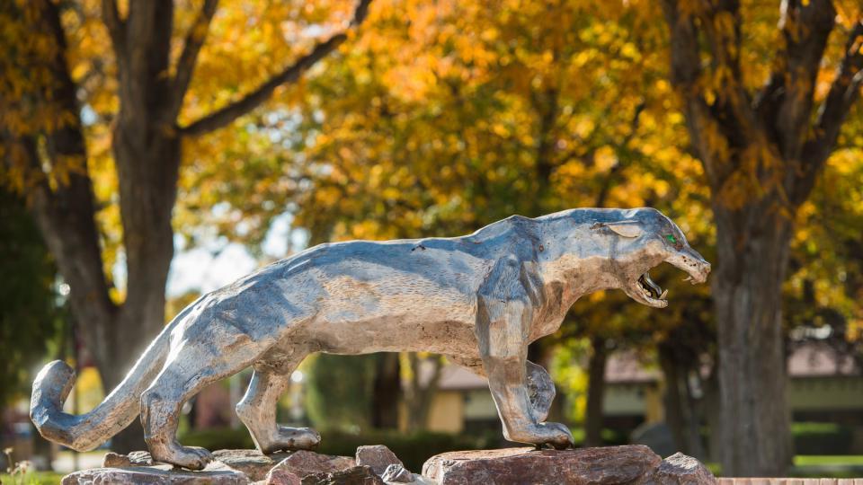 Panther sculpture on the Pueblo Campus